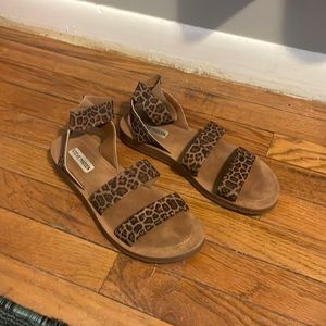 Steven Madden Size 9.5 Cheetah Sandals